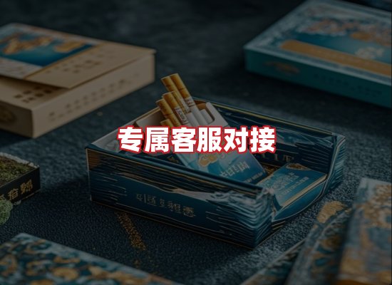 专业团队
